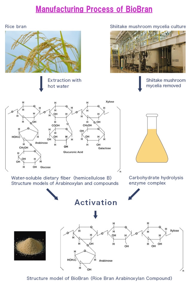 Manufacturing process of BioBran